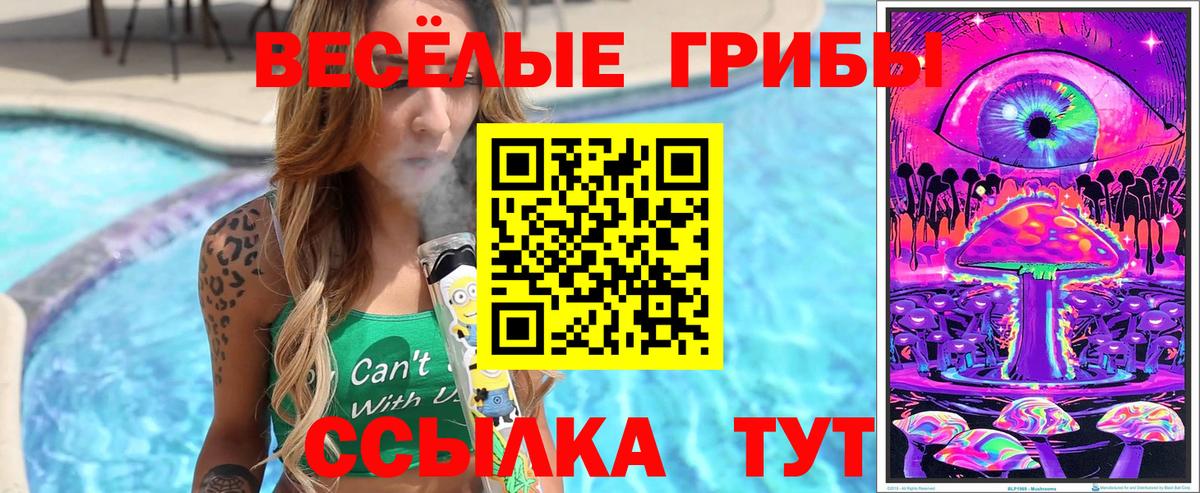 Псилоцибиновые грибы Magic Shrooms Скопин