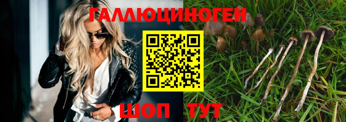 купить закладку  Вход с VPN  Скопин  Галлюциногенные грибы GOLDEN TEACHER  Псилоцибиновые грибы ЛСД 